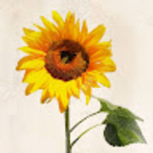 Meet your Posher, Margaret